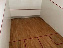 Pepys Hill Condominium (D5), Condominium #489254901